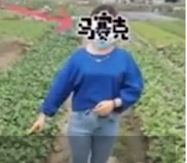 zjzhczc1.png