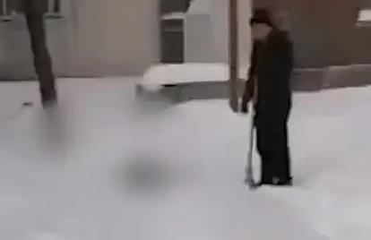 bdszaxdl1.jpg